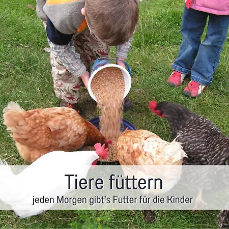 Bio Wichtelweide - Lavendel *