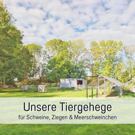 Apartament Bio Wichtelweide - Lavendel Fehmarn