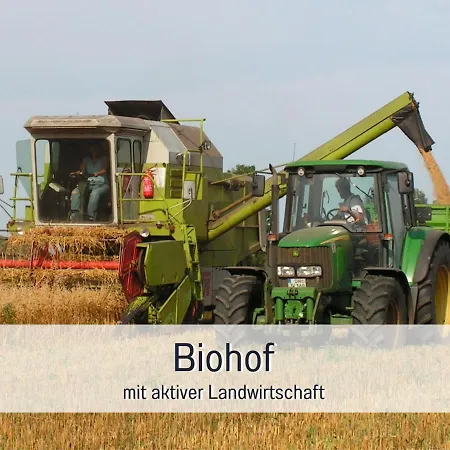 Bio Wichtelweide - Lavendel Apartment