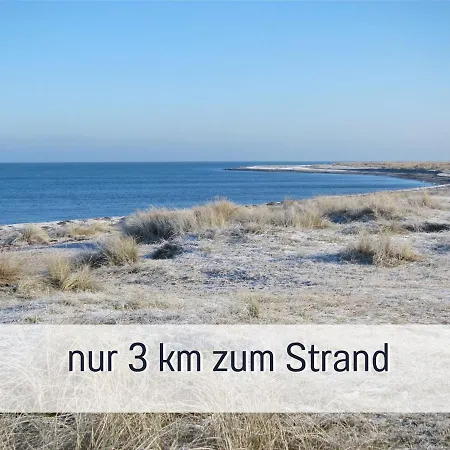 Bio Wichtelweide - Lavendel * Fehmarn