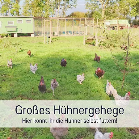 Apartment Bio Wichtelweide - Lavendel *