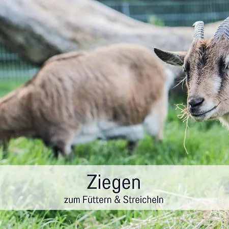 Apartment Bio Wichtelweide - Lavendel Fehmarn