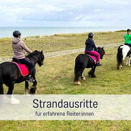 Bio Wichtelweide - Lavendel Fehmarn