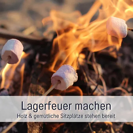 Bio Wichtelweide - Lavendel *