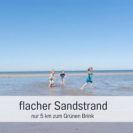 Bio Wichtelweide - Lavendel *