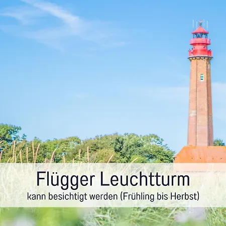 Bio Wichtelweide - Lavendel