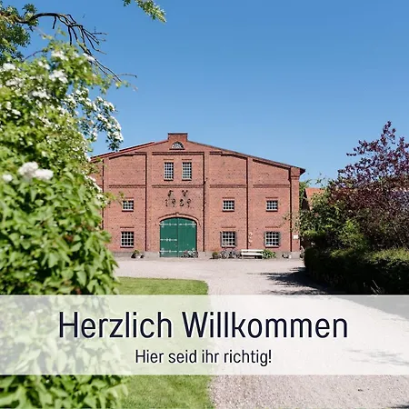 Bio Wichtelweide - Lavendel *