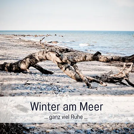 Apartament Bio Wichtelweide - Lavendel Fehmarn