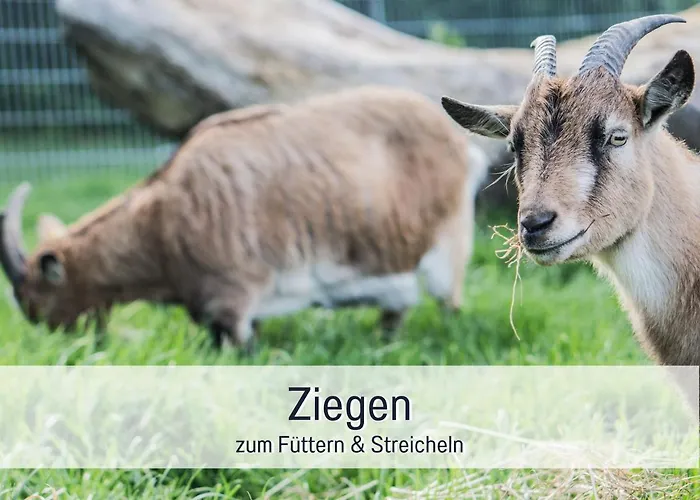 公寓 Bio Wichtelweide - Lavendel 费马恩