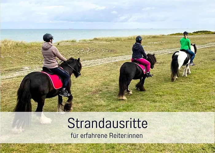 Bio Wichtelweide - Lavendel 费马恩